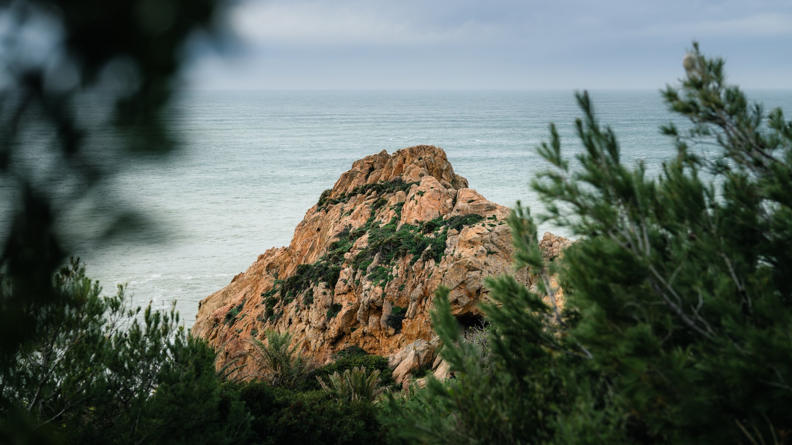 Rocky outcrop with green foliage by the ocean