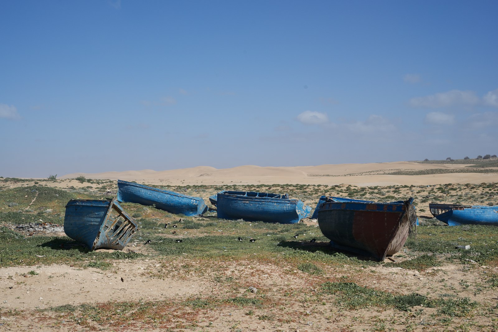 a group of blue boats on grass