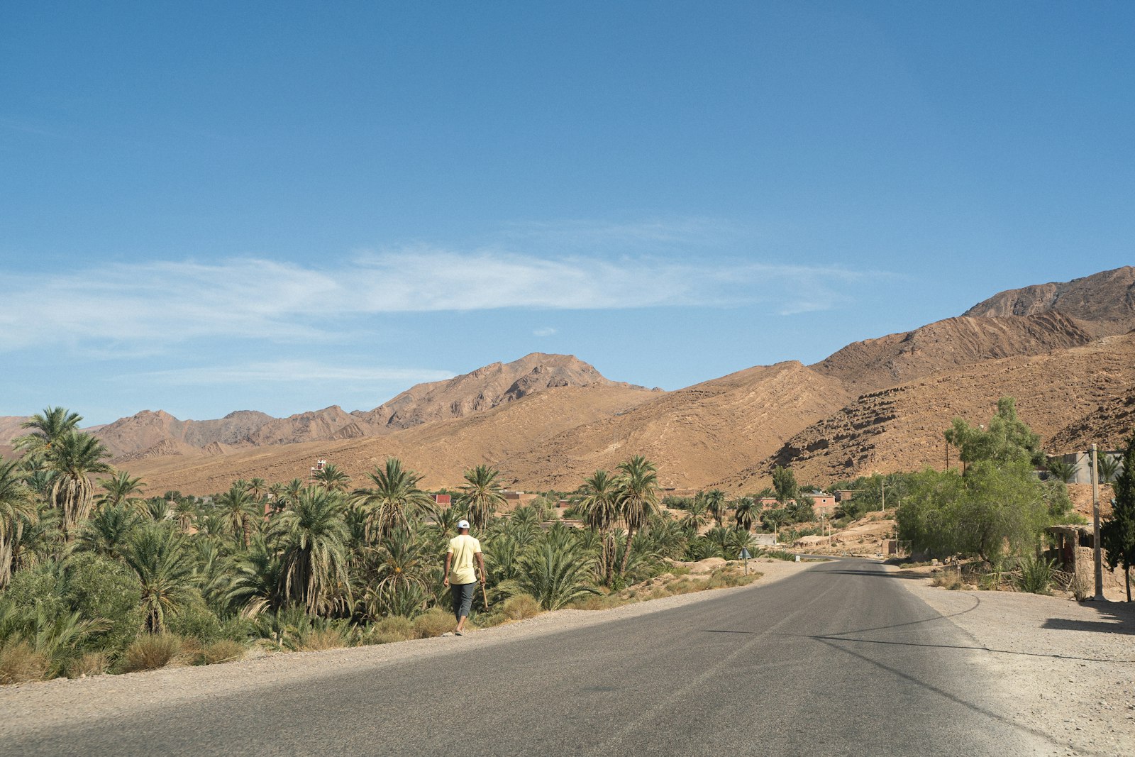 Man walks on road near palm trees and mountains
