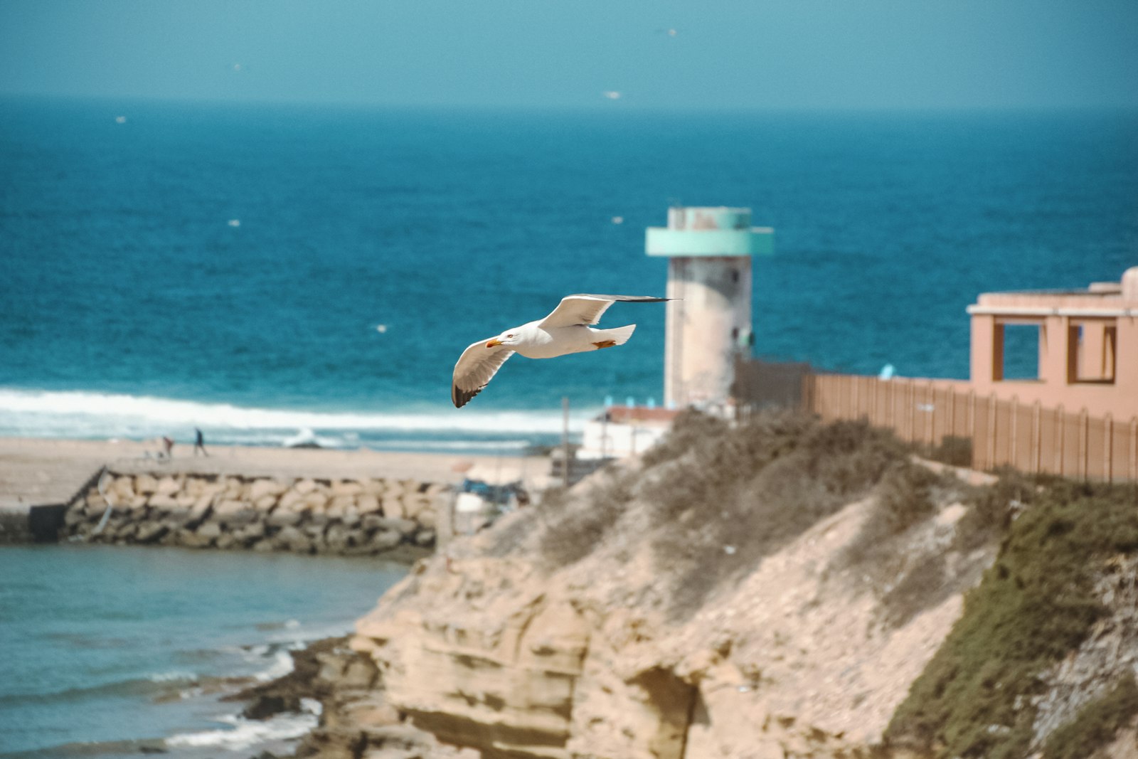 a seagull flying over a beach next to the ocean