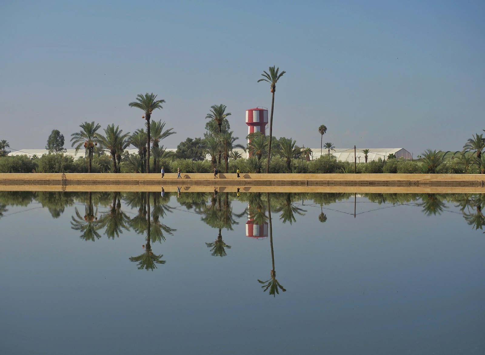 A large body of water with palm trees in the background