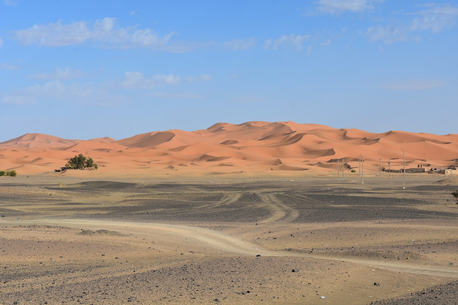 a desert landscape with a few trees