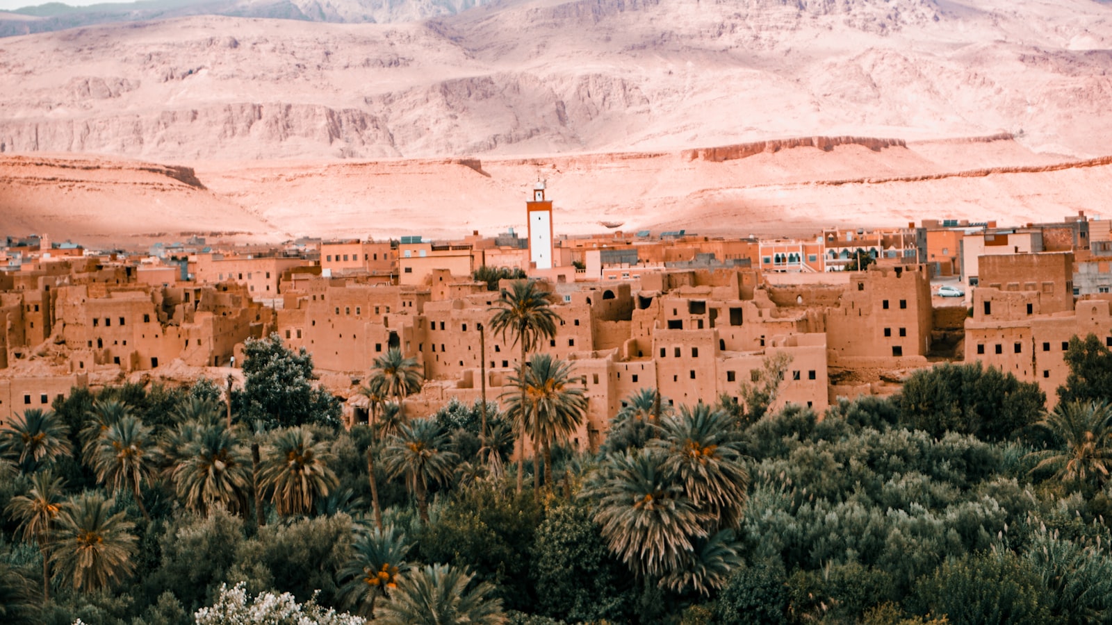 Desert village with palm trees and mountains