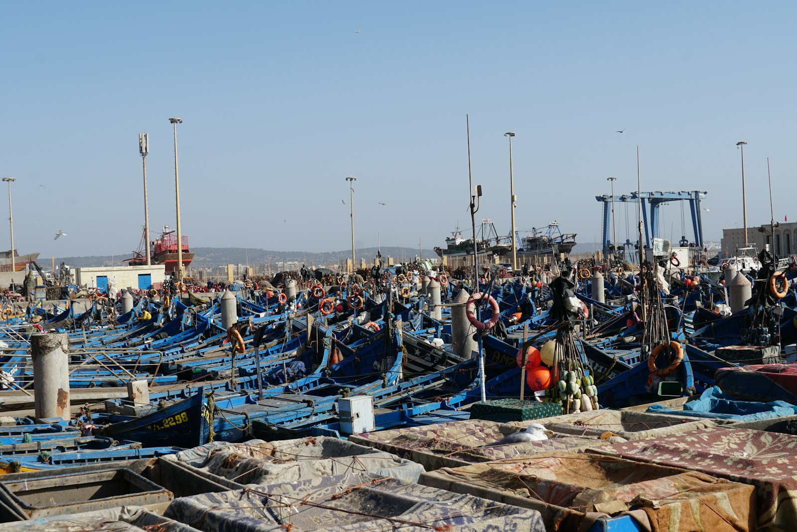 Many blue fishing boats docked in a harbor
