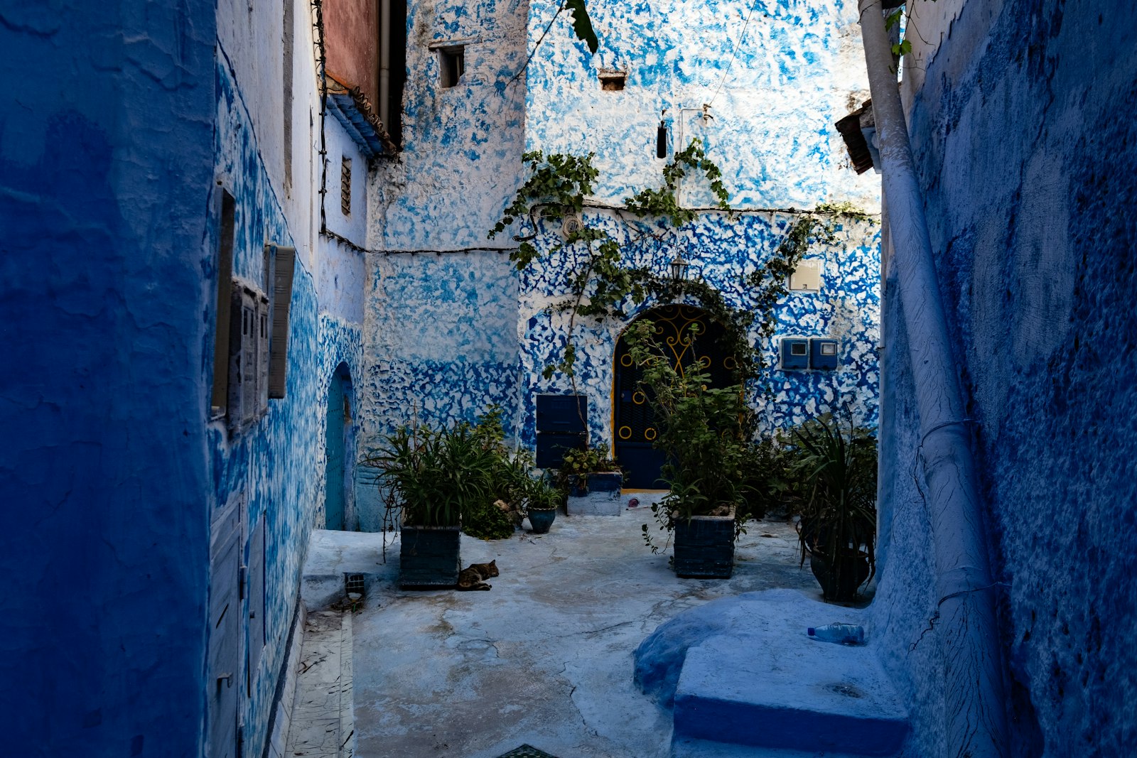 Blue alleyway with potted plants and textured walls
