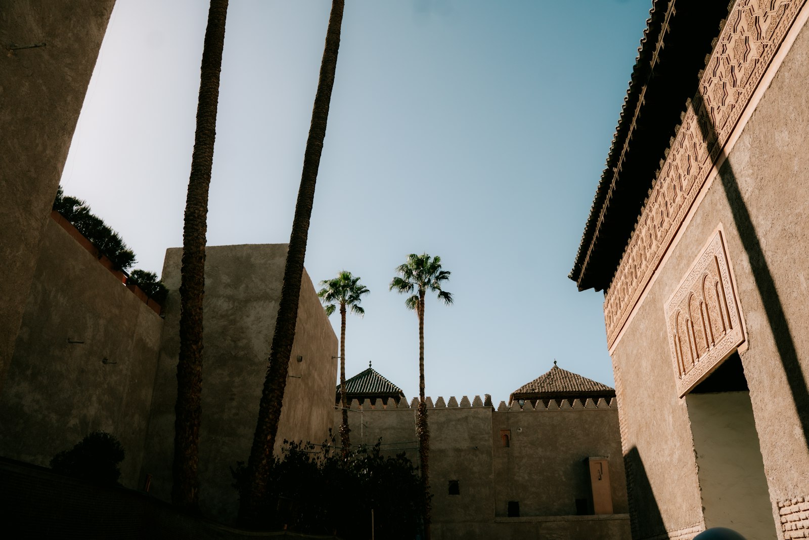 Palm trees rise above ancient moroccan architecture